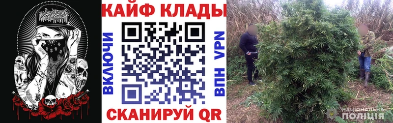 Продажа наркотиков Полесск Галлюциногенные грибы Амфетамин МЕФ Гашиш