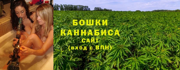 дживик Гусиноозёрск