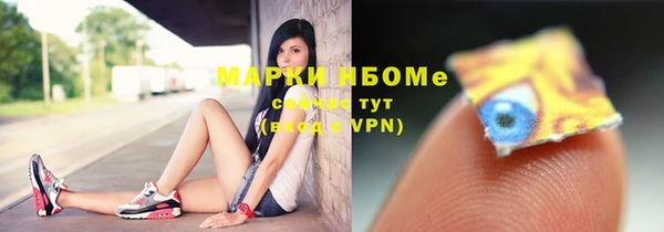 шишки Дмитров