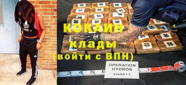 дживик Гусиноозёрск