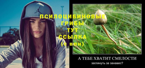 прущая мука Гусь-Хрустальный