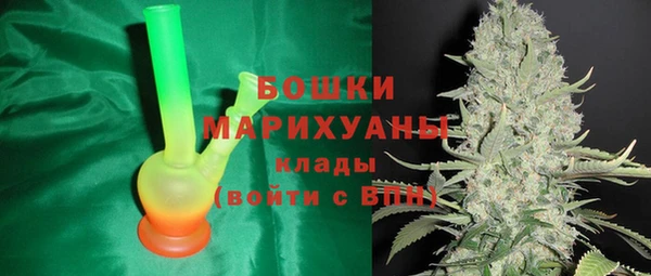дживик Гусиноозёрск